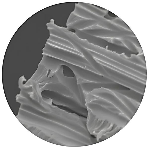 MEMBRANA PCTE 47MM 0,2UM BLACK 100UN
