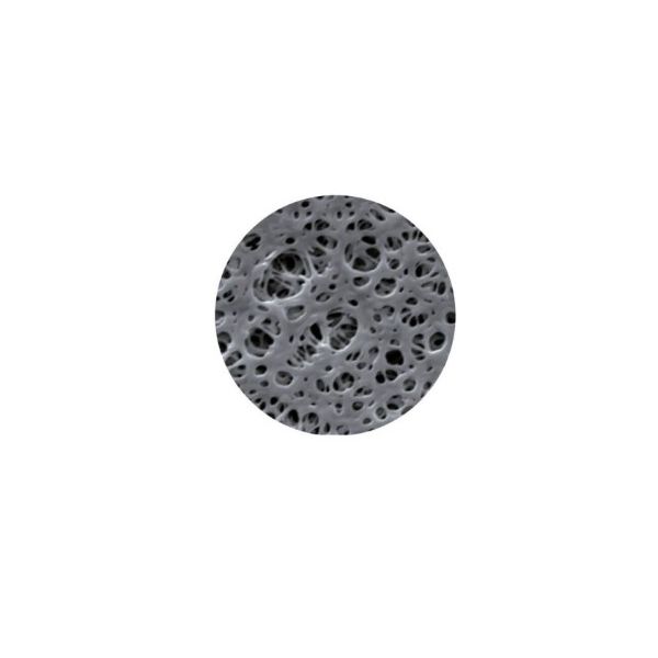 MEMBRANA PES 0,22UM 47MM 100UN