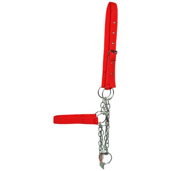 CABRESTO DE CORRENTE FITA TOURO