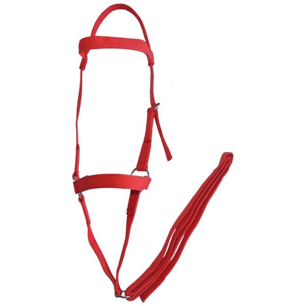 CABRESTO DE FITA SIMPLES P/ CAVALO