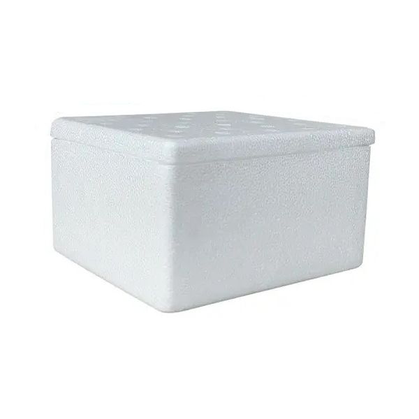 CAIXA ISOPOR 15x14x10 1000 G - PCTE 10 UNID