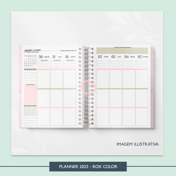 Planner 2025 - BOX Color