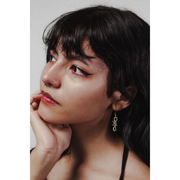 Brinco de Arame Farpado Prateado