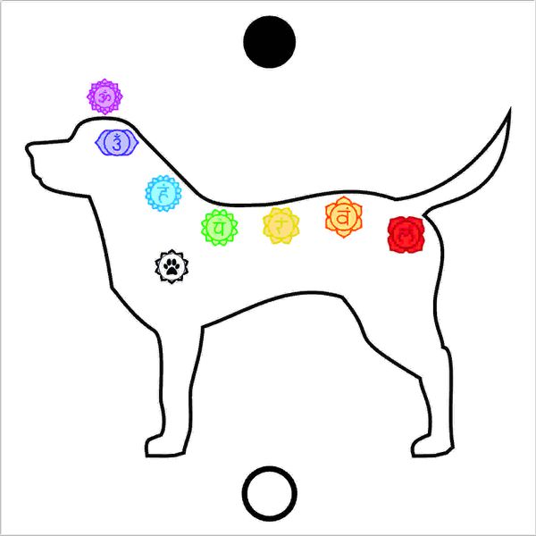 Gráfico Figura Chakras Cachorro PS PVC