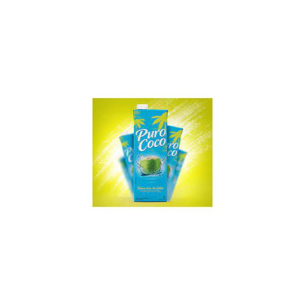 Gelo de Coco 200ml - Puro Coco Maguary