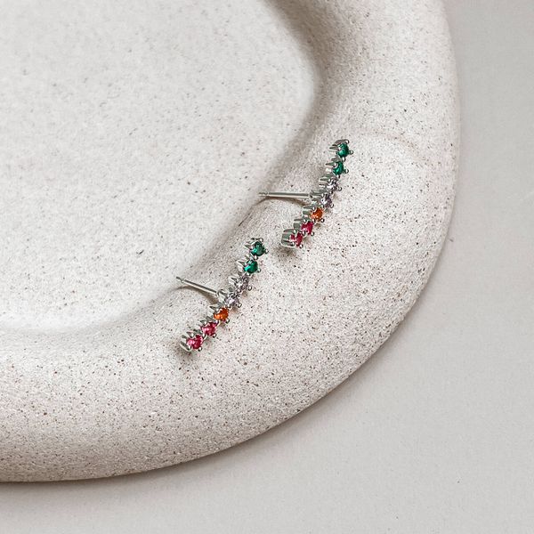 Brinco Palito Colorido Prata 925