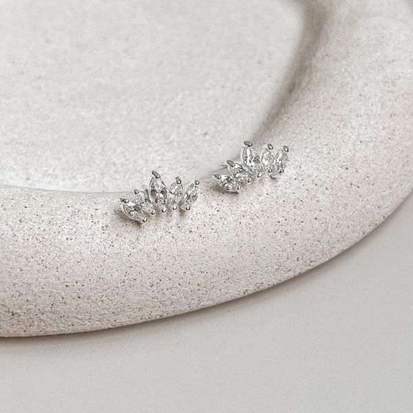 Brinco Folhas com Zirconia Prata 925