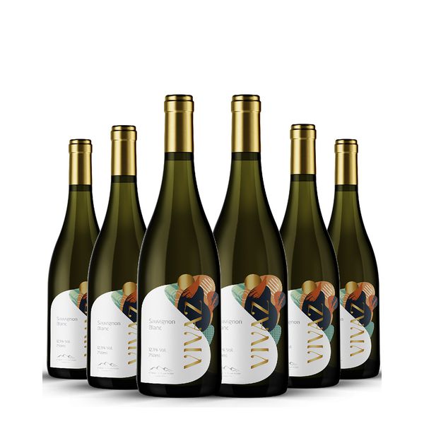Vivaz Sauvignon Blanc - Caixa com 6 Unidades 