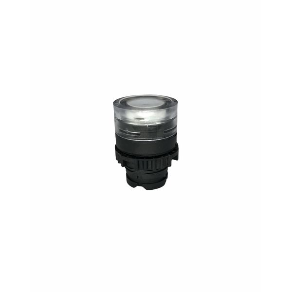 Frontal Botão Faceado Iluminado Weg 22mm Branco S/ Flange