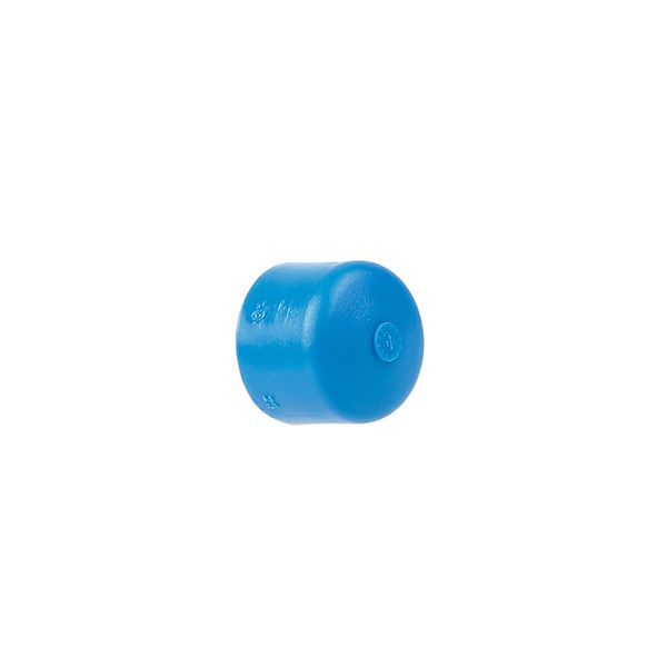 Cap P/ Tubo PPR 25mm TopFusion Ar Comprimido CP250A