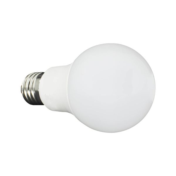 Lâmpada De Led 15W Bulbo Bivolt 6500K- Avant