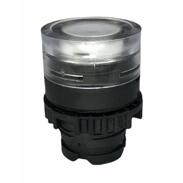 Frontal Botão Faceado Iluminado Weg 22mm Branco S/ Flange