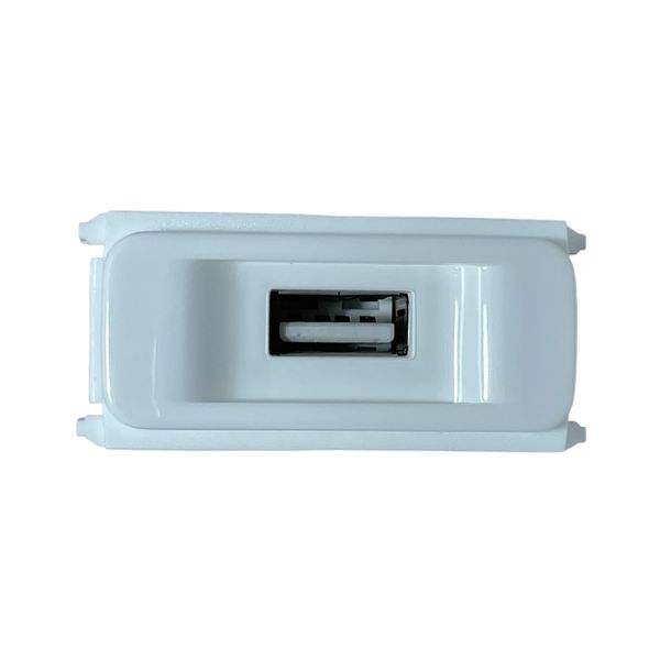 Módulo Carregador USB Composé Weg Branco Bivolt 13206807