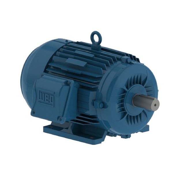 Motor Trifásico 25Cv 4P 1800 Rpm 220/380/440V Carcaça 160L W22