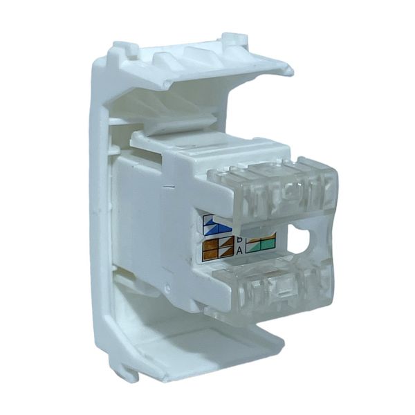 Módulo Tomada RJ45 C/ Keystone CAT 6 Composé Branco 13206663