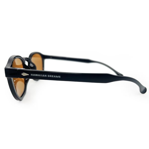 Óculos de Sol Owl HD em acetato preto com as lentes em fumê. Modelo hype casual