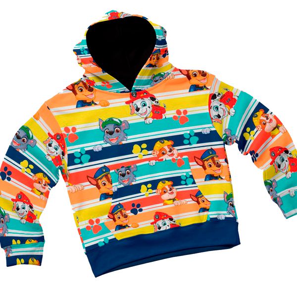 Blusa de Frio Moletom Infantil Grosso Confortável Patrulha Canina Colorido