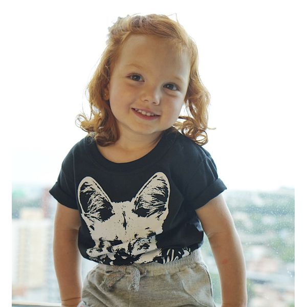 Coleção Infantil Lobo Guará 