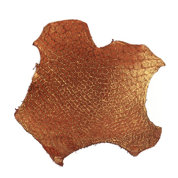 Couro de Reticulo Bovino Conhaque com Dourado G