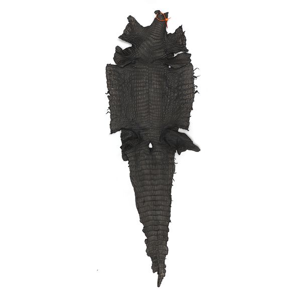 Couro De Jacaré Do Papo Amarelo (Caiman Latirostris) Cinza Cera