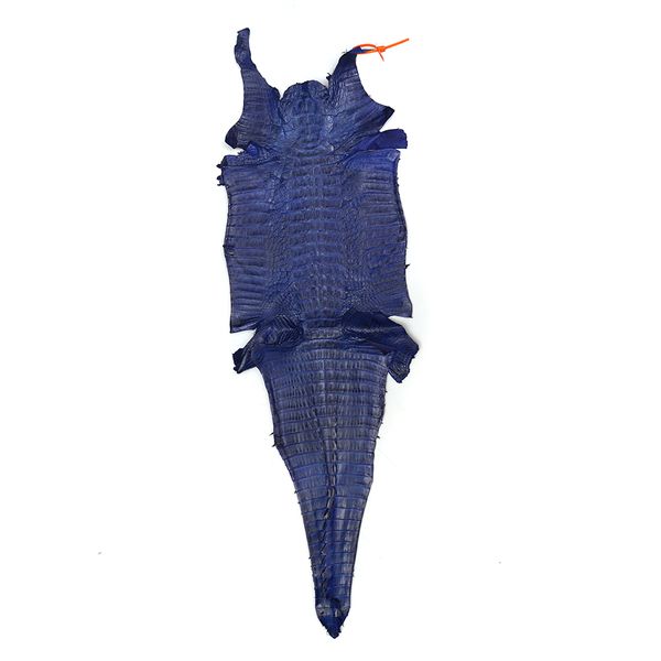 Couro de Jacaré Acab. HB (Caiman Yacare) Azul Royal - 471