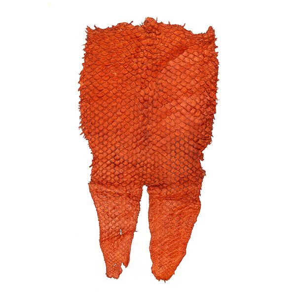 Couro De Peixe Pirarucu (Arapaima gigas) Laranja Cera