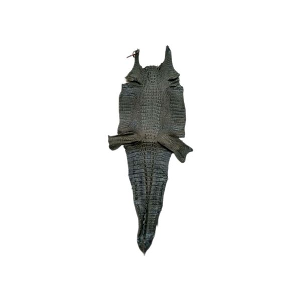 Couro de Jacare Acab. HB (Caiman yacare) - Verde Musgo - 7449
