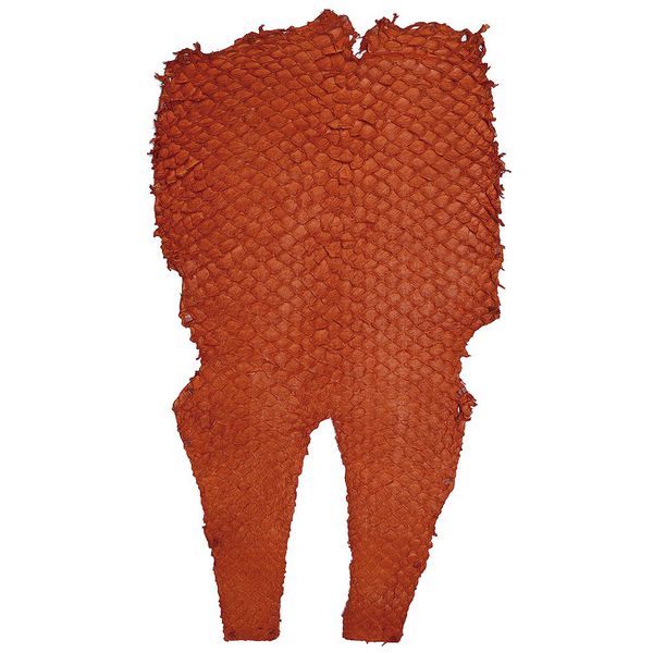 Couro De Peixe Pirarucu Laranja Com as Escamas Natural