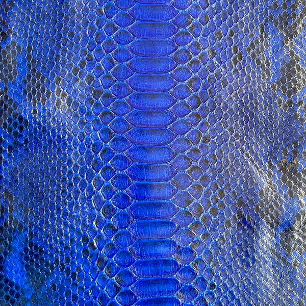 Couro de cobra acabado/curtido BC (Python reticulatus) - Azul Royal Brilho - 33/35