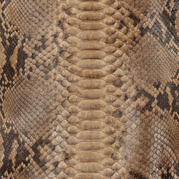 Couro de cobra acabado/curtido BC (Python reticulatus) - Bege