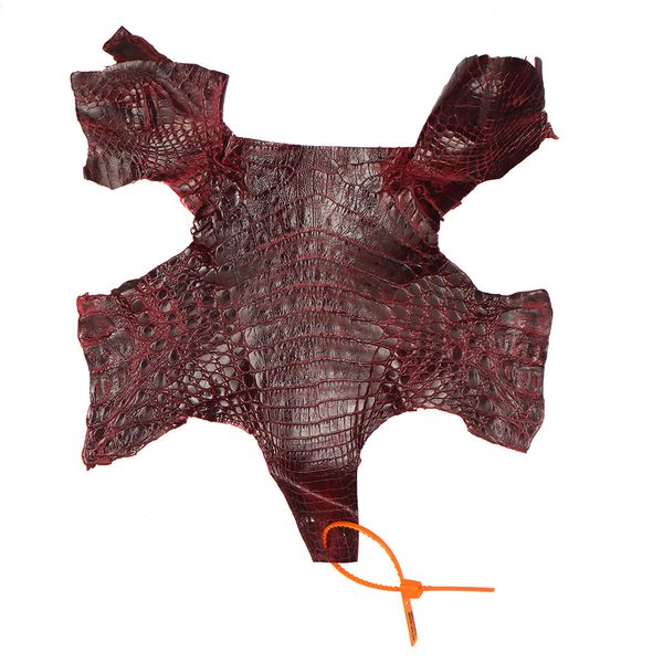 Retalhos em couro de jacaré - Caiman yacare (Nuca) 