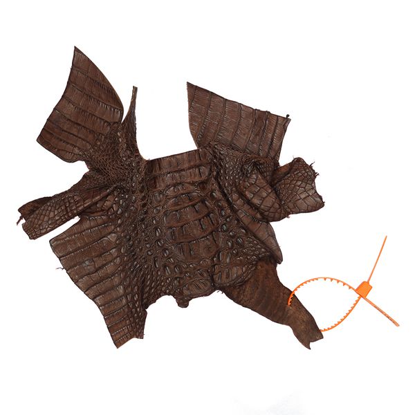 Retalhos em couro de jacaré - Caiman yacare (Nuca) 