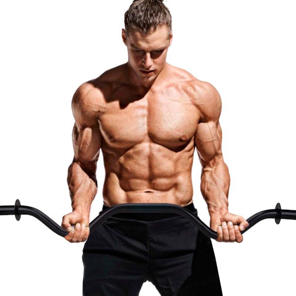 Barra W Musculação 120 Cm Academia Presilhas Exercícios ZUÍ BRASIL