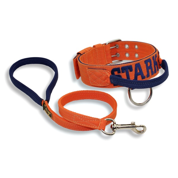 Coleira Para Cachorro Com Alça - Personalizada (laranja e azul marinho) + Guia 80cm 