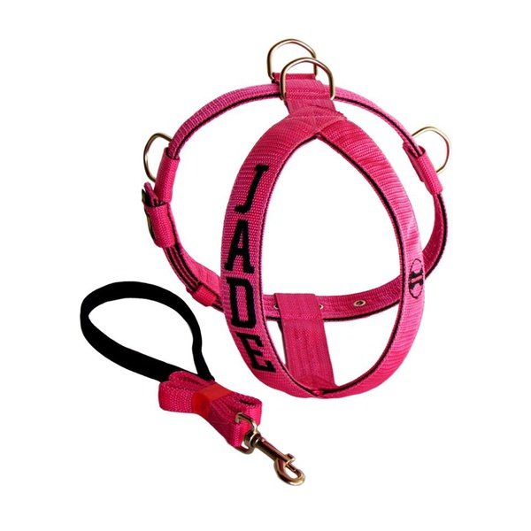 Peitoral Amorosso® Personalizado (pink e preto) + Guia Curta