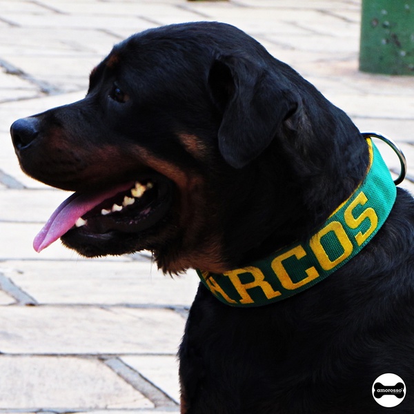 Coleira Para Cachorro Personalizada (verde e amarelo)