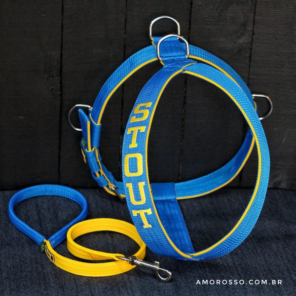 Peitoral Amorosso® Personalizado (azul e amarelo) + Guia Curta 80cm