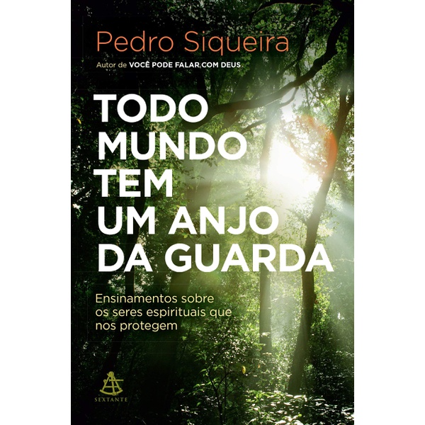 Livro : Todo Mundo tem um Anjo da Guarda - Pedro Siqueira