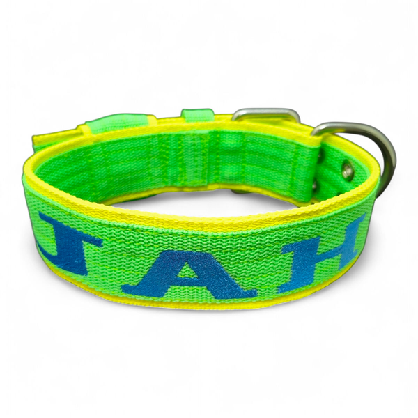 Coleira Para Cachorro Amorosso - Personalizada Slim (Verde Claro e Amarelo) 