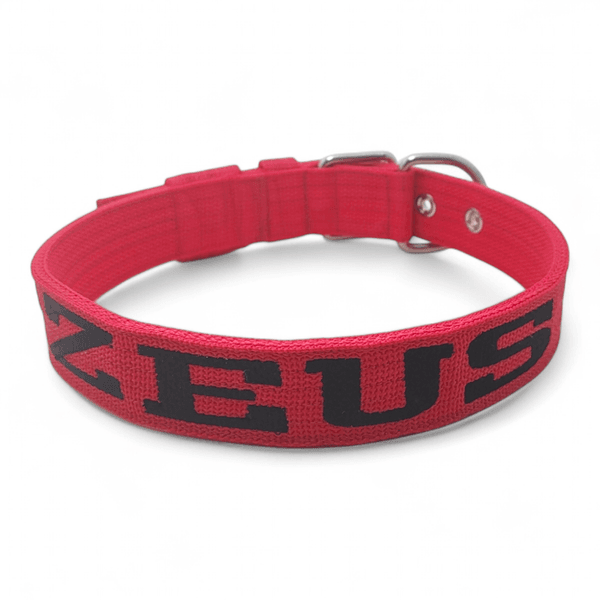 Coleira Fit Personalizada vermelha 