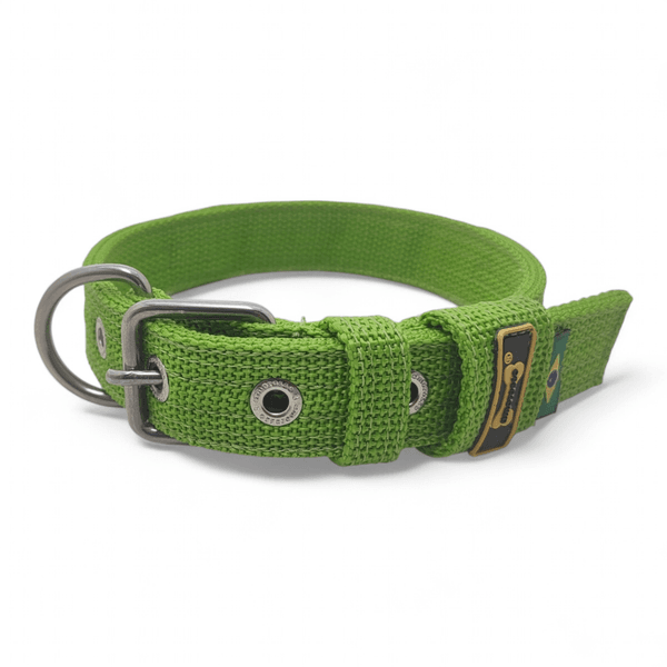 Coleira Fit Slim Personalizada Nome Cachorro Amorosso (Verde) 