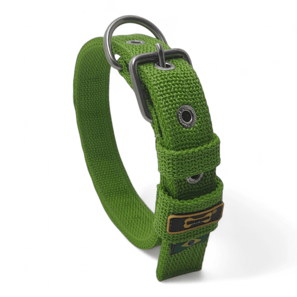Coleira Fit Slim Personalizada Nome Cachorro Amorosso (Verde) 