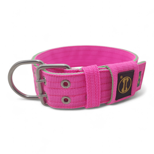Coleira Para Cachorro Personalizada + Guia de Passeio (Rosa Flúor e Verde Flúor)