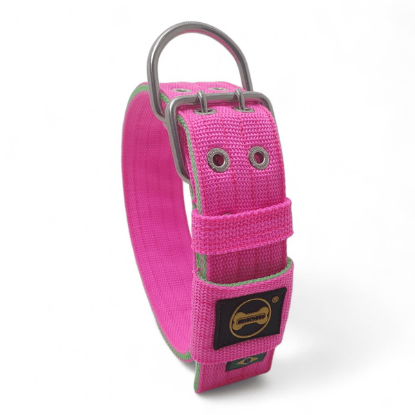 Coleira Para Cachorro Personalizada (Rosa e Verde)