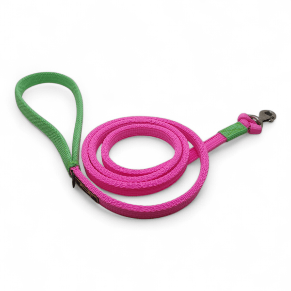 Coleira Para Cachorro Personalizada + Guia de Passeio (Rosa Flúor e Verde Flúor)