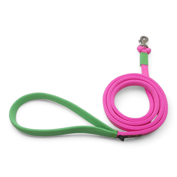 Coleira Para Cachorro Personalizada + Guia de Passeio (Rosa Flúor e Verde Flúor)