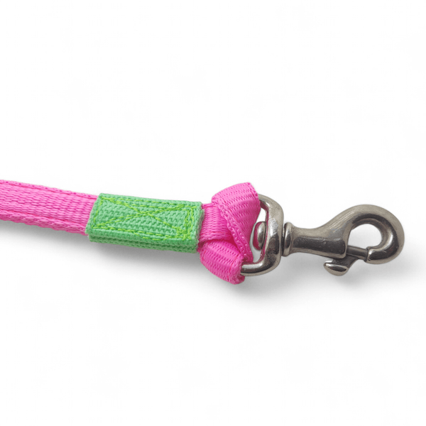 Coleira Para Cachorro Personalizada + Guia de Passeio (Rosa Flúor e Verde Flúor)