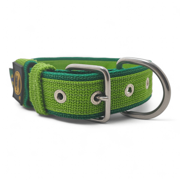 Coleira Fit Lite Personalizada Nome Cachorro Amorosso (Verde Claro e Verde)