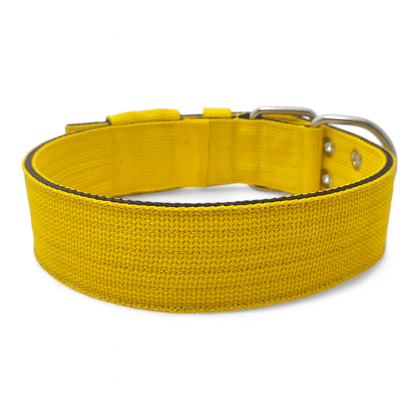 Coleira Para Cachorro Amorosso (amarelo e preto)