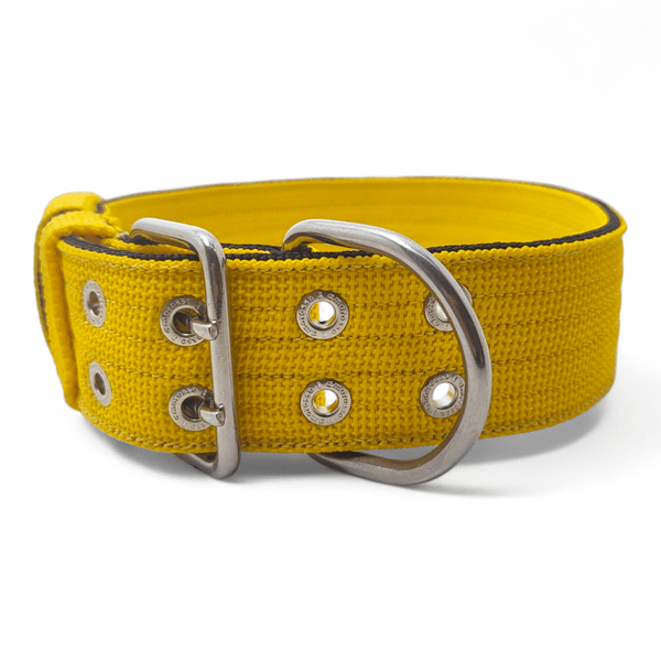 Coleira Para Cachorro Amorosso (amarelo e preto)